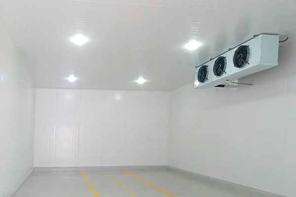 Cómo elegir la mejor cámara frigorífica industrial para tu negocio